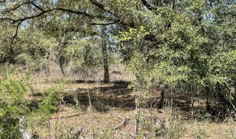 Speights Way, Bascom, FL 32423