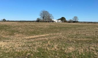 7114 COUNTY ROAD 39, Addison, AL 35540