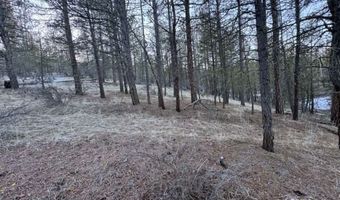 Bobcat Circle, Beatty, OR 97621