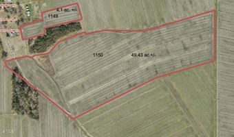 Sr 1918 Road, Aurora, NC 27806
