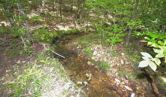 1540 PEPPER Rd 49+/- Acres, Ashland, AL 36251