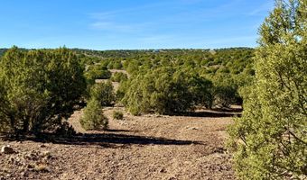 Kirkland DR 20 Acres, Concho, AZ 85924