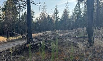 Seal Lane 37, Bonanza, OR 97623