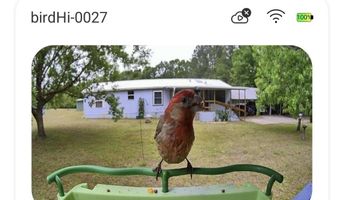 1462 Mccauley Rd, Baker, FL 32531