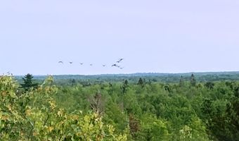 W McMann & Meadow Roads lot 13-1, Addison, ME 04606