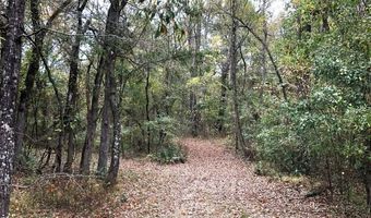 1071 LR 3, Ashdown, AR 71822