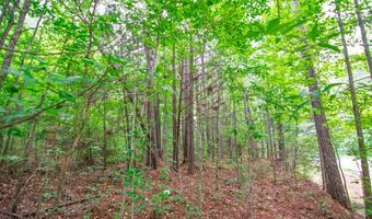 GA HWY 0103, West Point, GA 31833