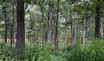79 CABIN Rd, Augusta, WV 26704
