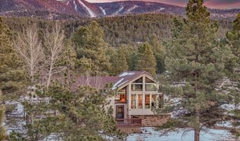 71 Halo Pines Ter, Angel Fire, NM 87710