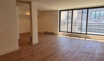 601 E Hopkins Ave 202, Aspen, CO 81611