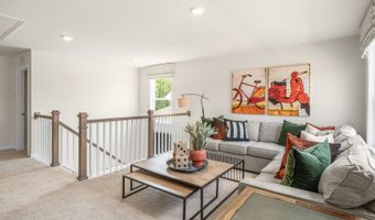 5298 Jessie Dr Plan: NORMAN, Apex, NC 27539