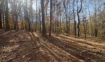 9- A Dulwich Dr, Amherst, VA 24521