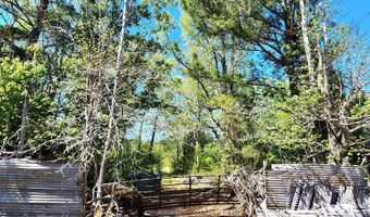 305 Clyde Ave, Aulander, NC 27805