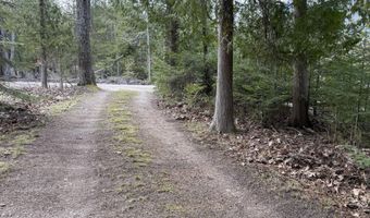 3855 El Cajan Rd, Alpena, MI 49707