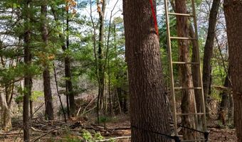 255 45 Ac Dover Dr, Adams, WI 53910