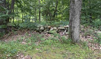 600 Birch Hill Rd, Brandon, VT 05733