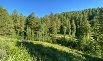 400 GROVER DRY FARM Rd, Afton, WY 83110