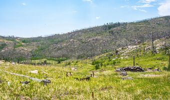 2384 Rist Creek Rd, Bellvue, CO 80512