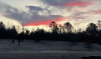 3482 Forty Forks Rd, Bethel Springs, TN 38315