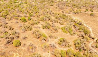 Blackjack Trail, Adkins, TX 78101