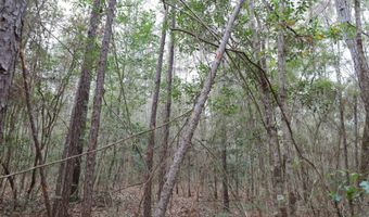 TBD Hwy. 29, Brooklyn, MS 39425