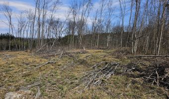 295 Shellstone Rd, Amsterdam, NY 12010