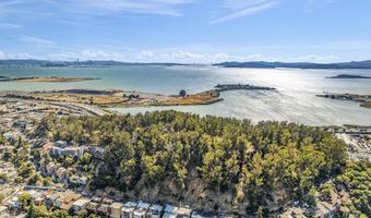 599 Jackson St, Albany, CA 94706