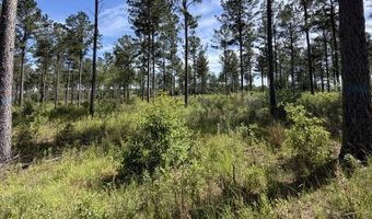 0 S County Road 33, Ashford, AL 36312