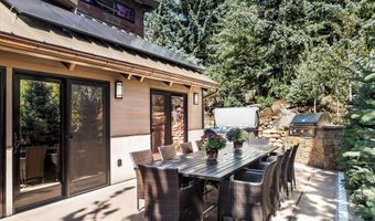 39 Roaring Fork Dr, Aspen, CO 81611