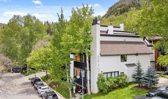 800 S Mill St 6A, Aspen, CO 81611
