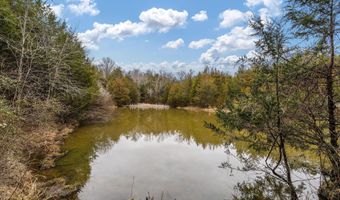 Smithtown Road, Afton, TN 37616