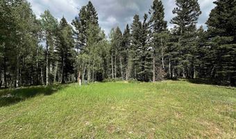 Elk Ridge Road lot 23, Angel Fire, NM 87710