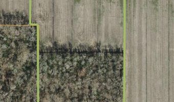 Sr 1918 Road, Aurora, NC 27806