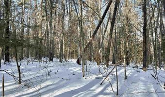Lot 80-1 Currier Road, Candia, NH 03034