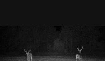 57 40 Acres-TBD Cades Rd, Cades, SC 29518