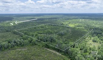 Phillipsville Road, Bay Minette, AL 36507