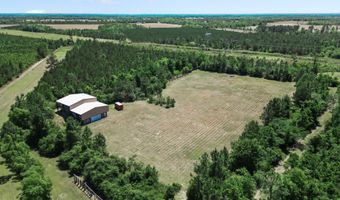 17668 Flatwoods Rd, Altha, FL 32421