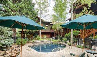 507 W Main St C101, Aspen, CO 81611