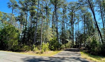 Lot 3 OCEANVIEW COURT, Accomac, VA 23301