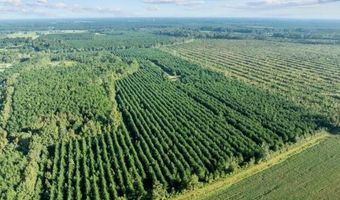 0 County Home Rd, Ayden, NC 28513