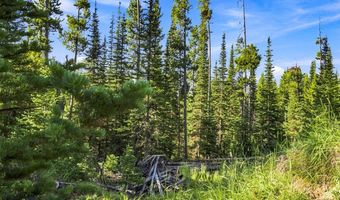 40 Swift Bear, Big Sky, MT 59716