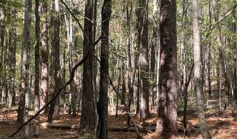 0 Hwy 8, Aberdeen, MS 39730