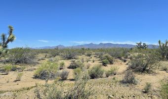 5558 E Red Barrel Rd, Yucca, AZ 86438