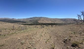 930 Cavelti Rd, Gardnerville, NV 89410