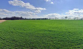 0001 CR-290, Asbury, MO 64832