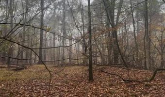 1 8 Miles Due South Down Anding Oil City Rd, Bentonia, MS 39040