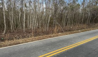 5510 Mauss Hill Rd, Adams Run, SC 29426