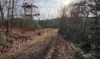 Tobacco Branch Road lot # 2, Almond, NC 28702