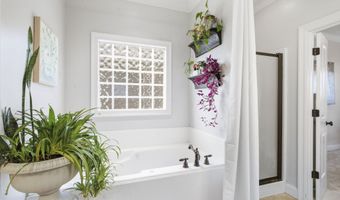 313 Red Cedar Dr, Brandon, MS 39047