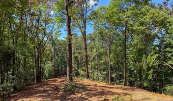 3 Black Rock Trl 3, Andrews, NC 28901
